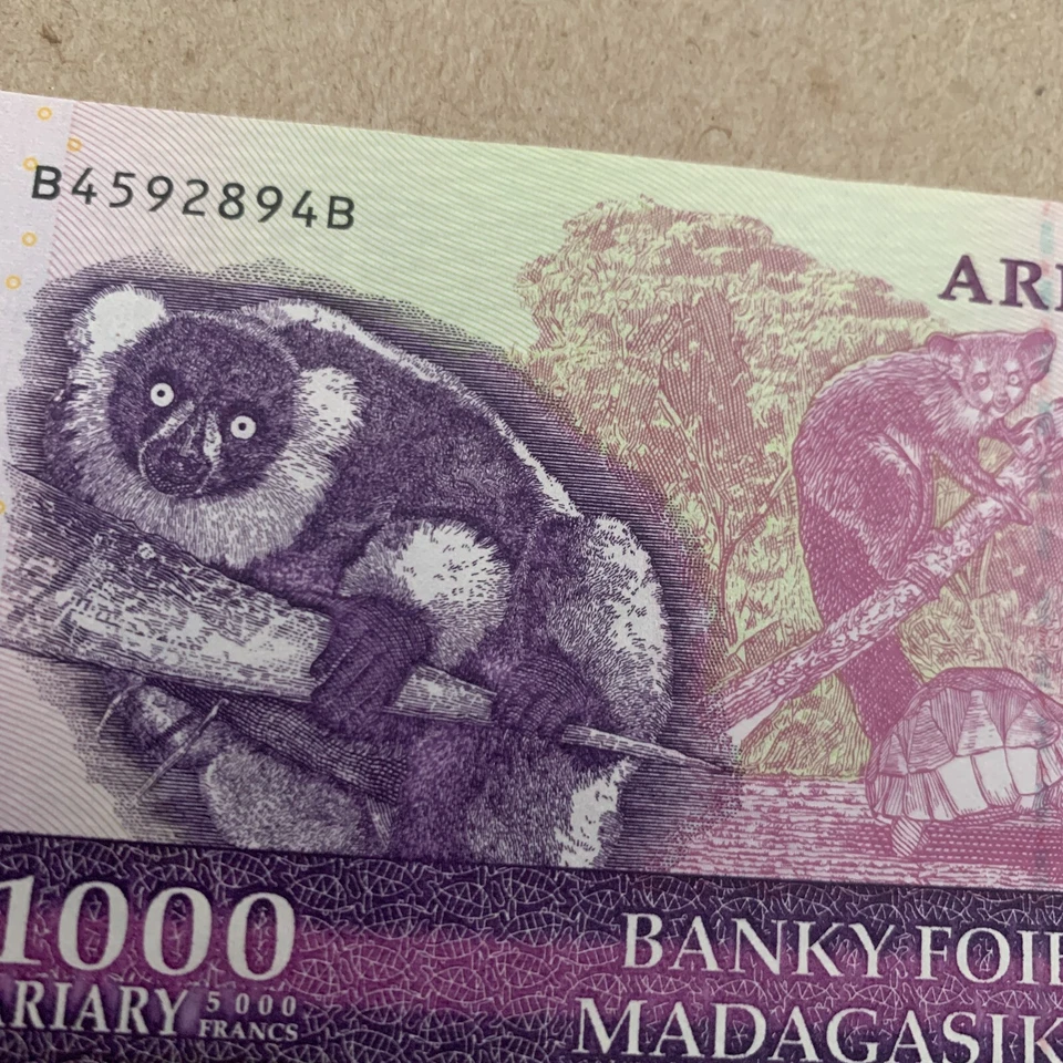 Lemur Note 1000 Ariary Banknote 2004 Animal Currency Purple Turtle See UV Image - Image 2 of 4