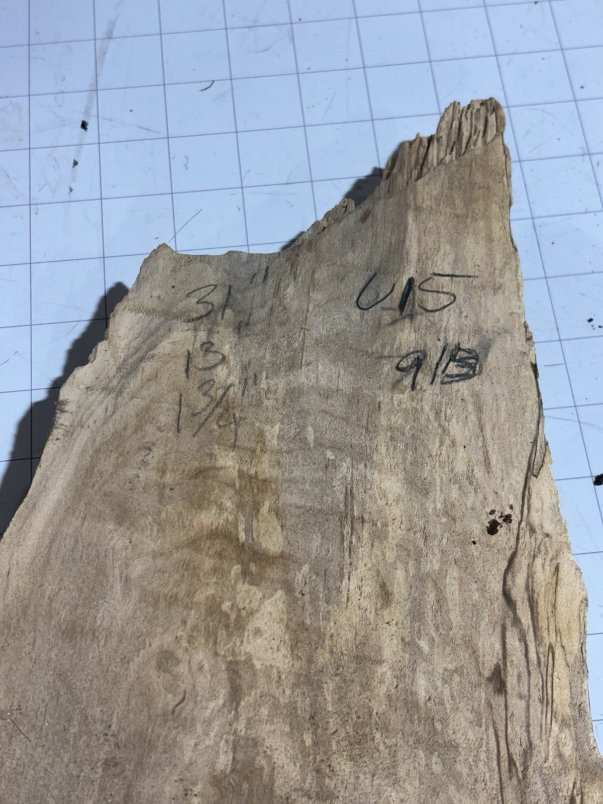 U15 Spalted Feather Crotch  Live  Edge Slab Birds Eye , Curly 31”x13”x1.75