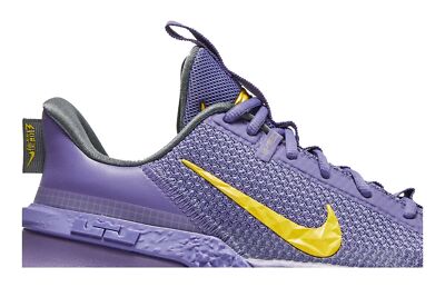 Nike LeBron Ambassador 13 'Lakers' CQ9329-500 | eBay