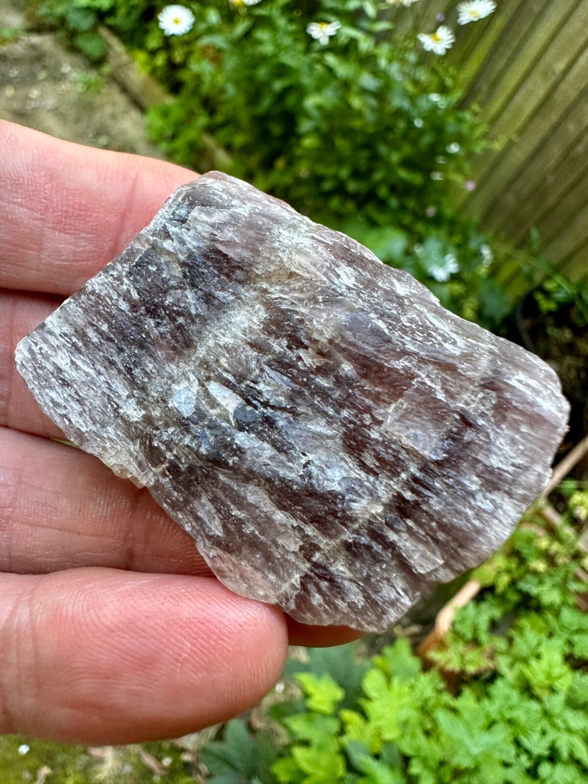 Picture 4 of 5