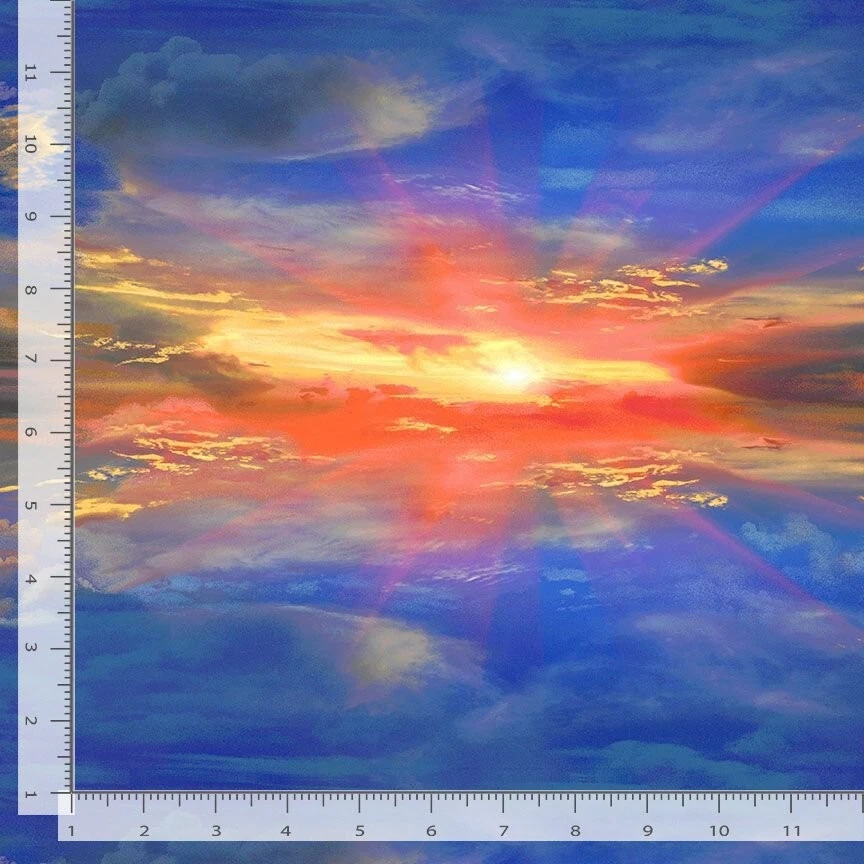 Sky Sunset Poppies Timeless Treasures CD2526 tela de algodón duradera Foto 2 de 2