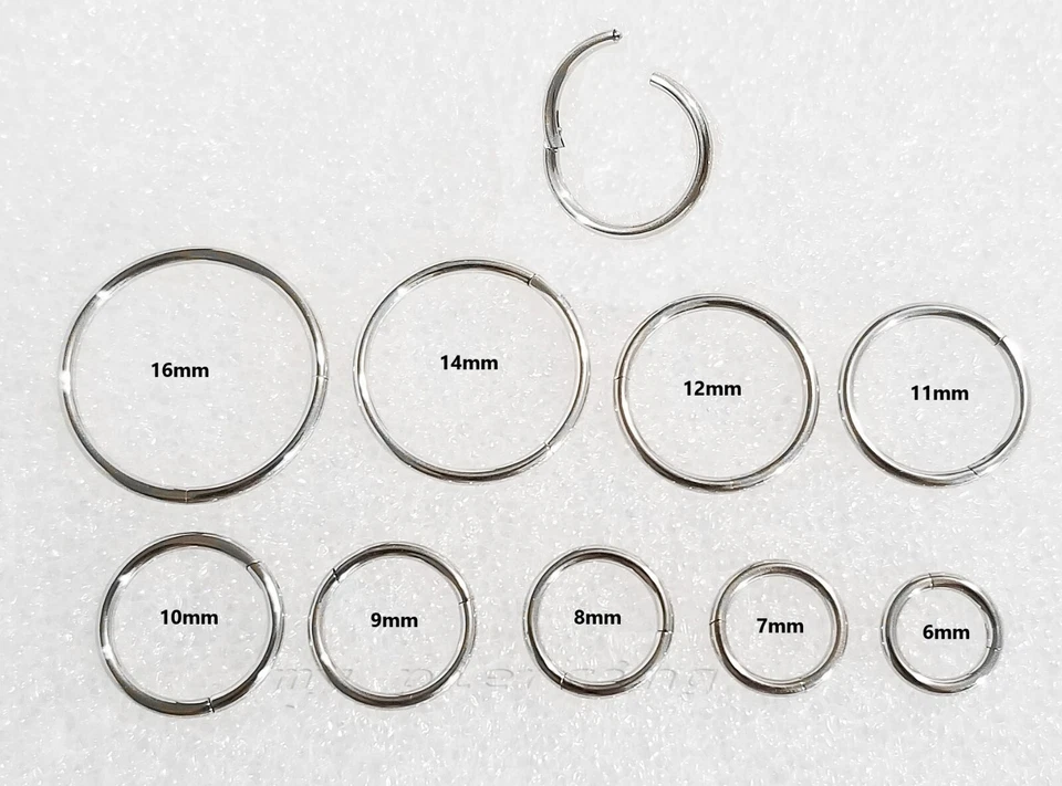 1 pieza. Anillo de segmento sin costuras con bisagras de acero quirúrgico anillo para nariz orejas y tabique 20G-8G Foto 4 de 4