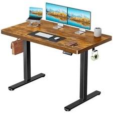 48 x 30 Electric Standing Desk with One-Piece Desktop, Sit Stand Desk with Th...