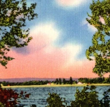 Vintage Linen Postcard Greetings Nature's Beauty Spot Salesman Card