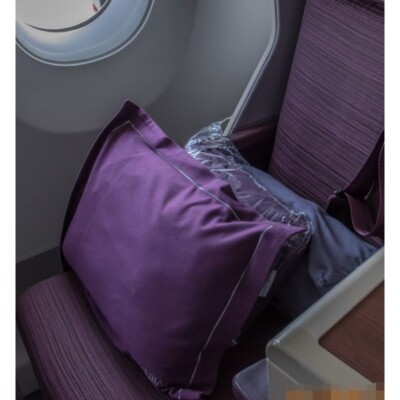 Thai Airways Royal Silk New Style Business Class Pillow x