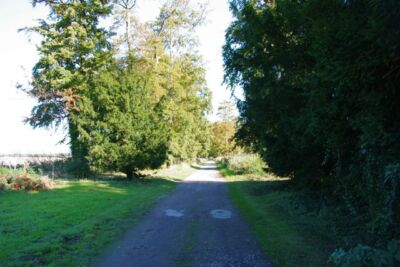 #ad Photo 6x4 The driveway for Hinxton Grange c2008 GBP 2.00