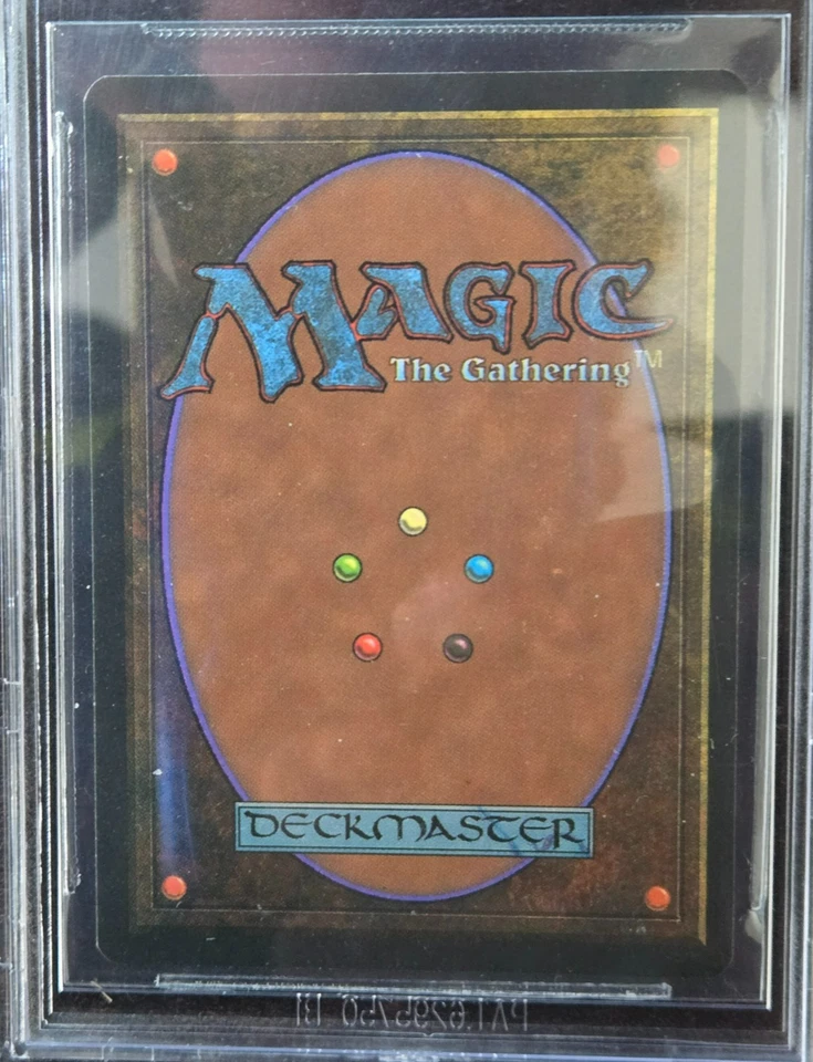 Bayou BGS 9.5 GEM MINT - Quad 9.5 - Revised 3rd Edition MTG - Image 4 of 4
