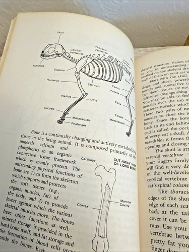 The Well Cat Book & I Care About Animal  - Picture 6 of 8