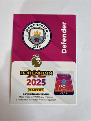 Josko Gvardiol Panini PL 2025 Adrenalyn Card # 232. New | eBay UK