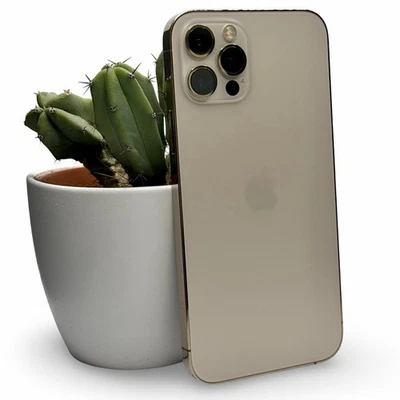 Apple iPhone 12 Pro 128 Go Or FACE ID DÉFECTUEUX état Très bon - Photo 1/3