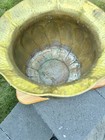 Picture 8 of 17