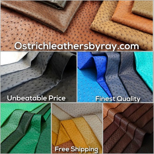 Ostrich Leather Hide, Rum Brown Maddog (%100 Natural Genuine Hide) - Picture 8 of 12