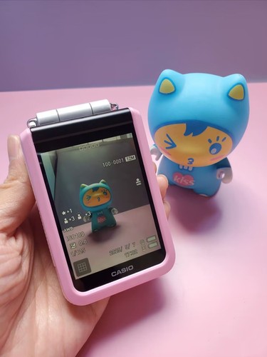 CASIO EXILIM EX-FR100L Separation Digital Camera 10.2Megapixel EX-FR100LPK Pink - Picture 8 of 9