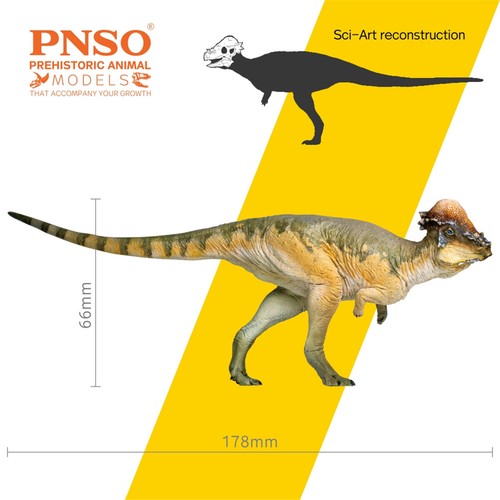 PNSO Pachycephalosaurus Austin Model Hell Creek Dinosaur Animal Collector Decor - Foto 2 di 8