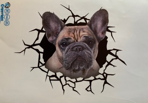 3D Cute Puppy Kitten Wall Sticker Bathroom Toilet Cupboard Home Decoration Decal - Picture 12 of 16