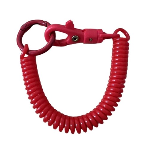 Spring Keychain, Stretchy Spirals Keyring, Retractable Spring Coil Key Keychain - 第 11/17 張圖片
