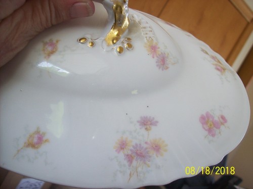 Haviland & Co. Limoges France Schleiger Vtg. Oval Serving Platter Pink Floral - Picture 3 of 12