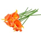Afbeelding 18 van 48
