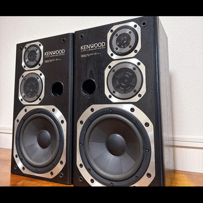 Kenwood Roxy DG3 3-Way Speakers Pair L/R Matching Serial Tested