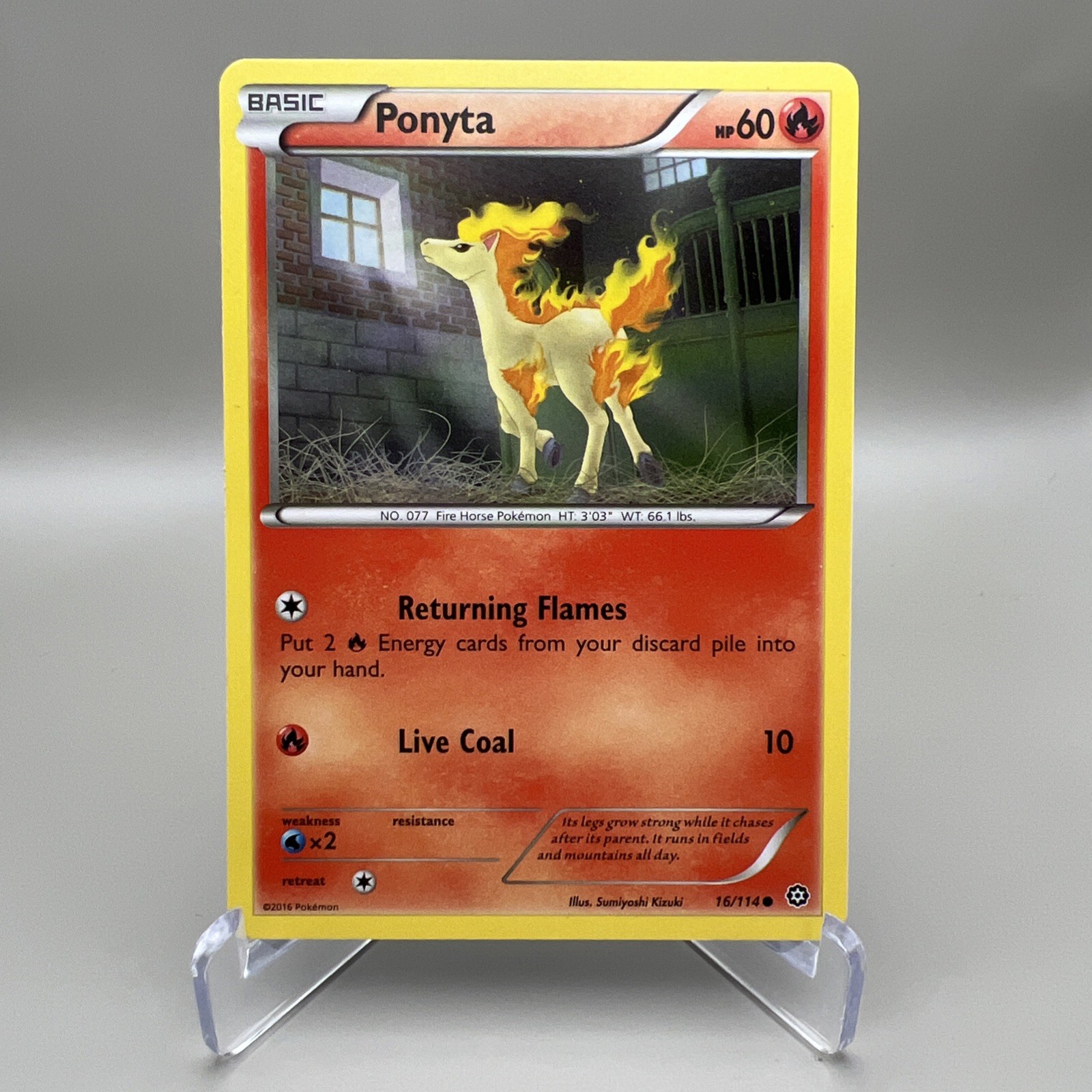 Ponyta #16/114 Regular Common - XY Steam Siege 2016 Pokemon TCG - NM