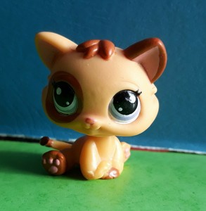 Petshop Chaton Chat Ebay