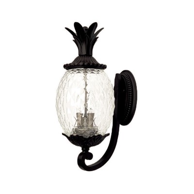 Acclaim Lighting 7511BK Lanai 3 Light 22 inch Matte Black Exterior Wall Mount