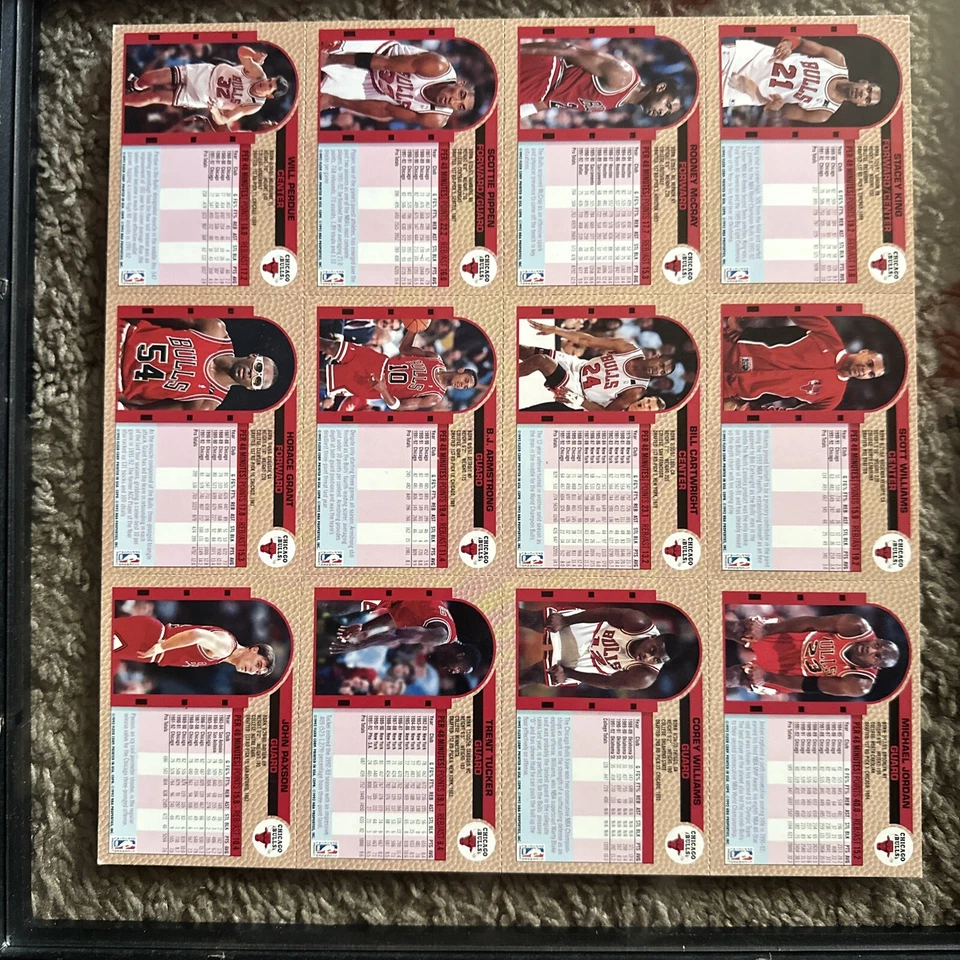 Relleno espalda con espalda 1992-93  Foto 2 de 2