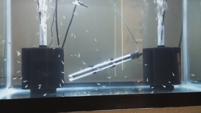 bacto surge sponge filter