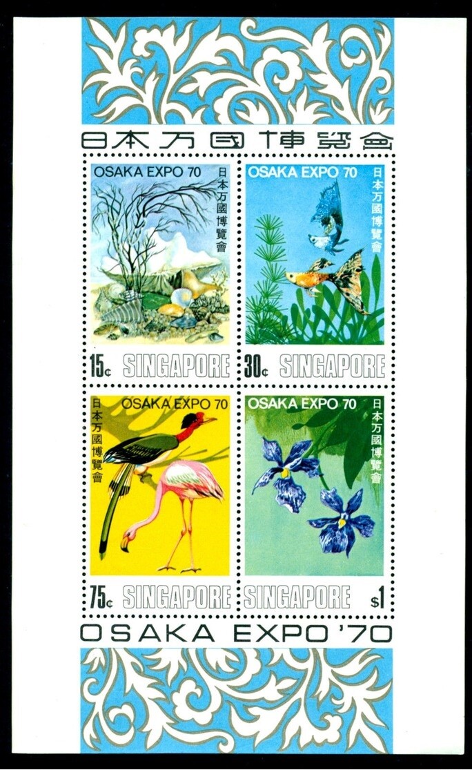 Foto 1 di 2