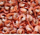 100 Natural Zhoushan Large Dried Shrimps 