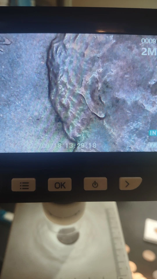 1984 1c Lincoln Memorial Cent Doubled Ear Cent Double Die Obverse FS-101 DDO-001 - Image 3 of 4