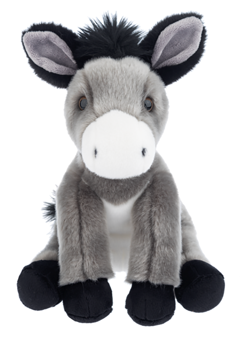 DONKEYS 九州バードコア CONFUSE GISM GAI DONKEYS 九州バードコア