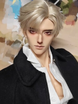 Resin bjd Art Dolls QWG  handsome beautiful fashion bjd dolls birthday present