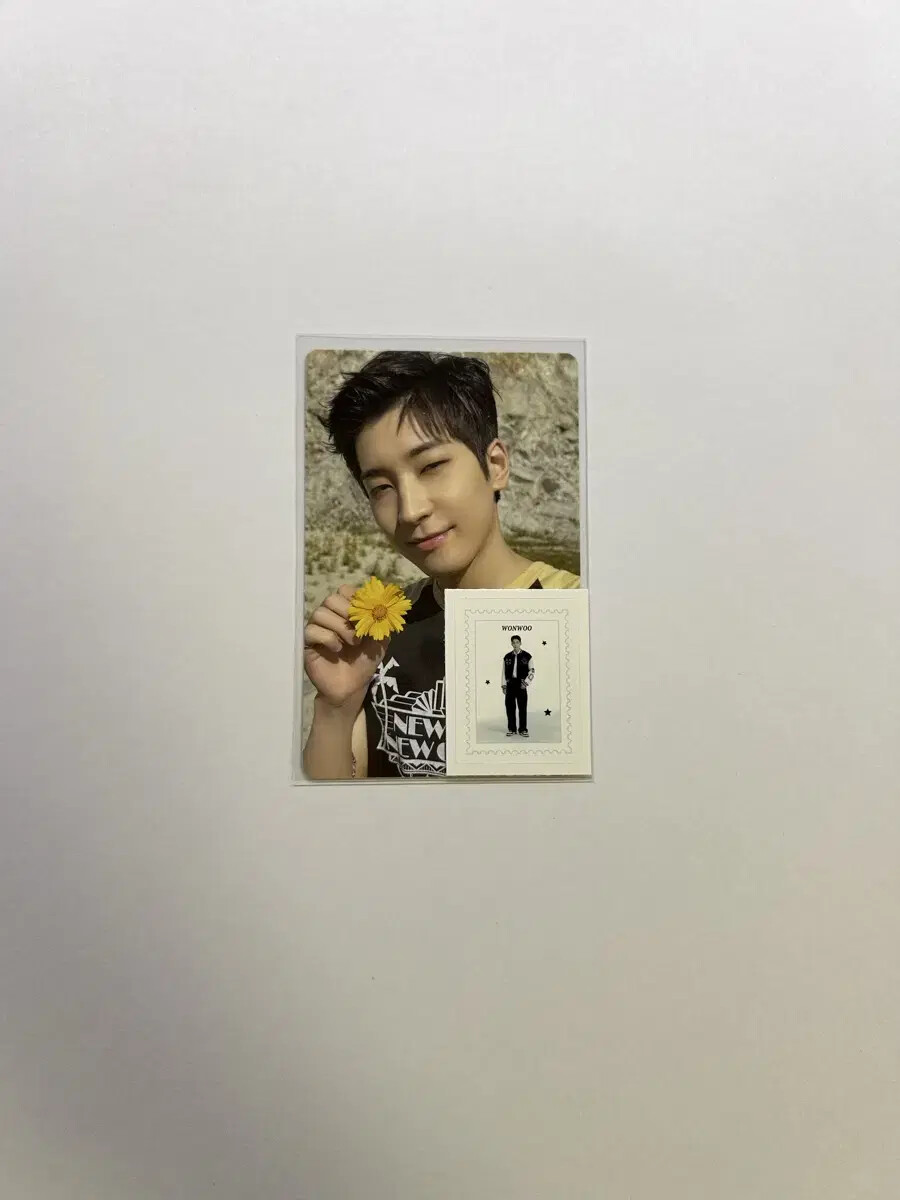seventeen wonwoo FOLLOW CONCERT DIGITAL CODE Photocard | eBay