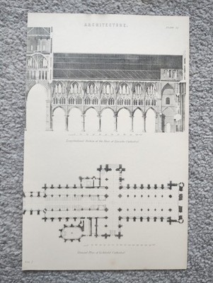 Plan and Elevation of Lincoln Cathedral - Antique Print - 1875