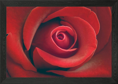 Red Rose Flower Framed Wall Art Poster Canvas Print Picture