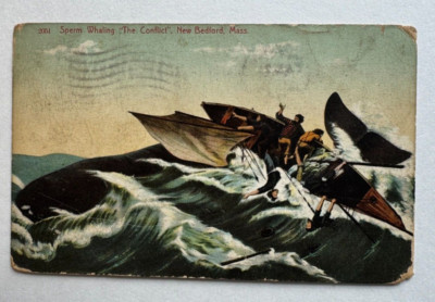 1911 MA Postcard New Bedford MA Sperm Whaling ''The Conflict'' boats men whale