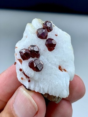 22 Gm spessartine multiple red garnet crystal on albite matrix specimen frm pak