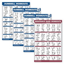 Palace Learning 4 Pack - Dumbbell Workout Posters Volume 18" x 24", LAMINATED