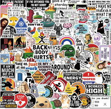 100PCS Funny Adult Meme Stickers Dirty Sarcastic Waterproof Decals for Laptop