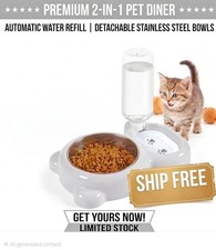 Grey Dog Cat Food and Water Bowl Set Non-Slip Pet Feeding Bowls