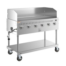 48" Stainless Steel Liquid Propane Outdoor Grill with Wind Guard