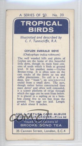 1961 Brooke Bond Tropical Birds Tea Ceylon Emerald Dove #39 a8x - Picture 2 of 3