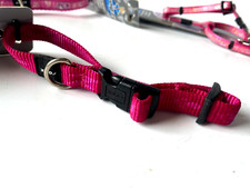 Rogz Hundehalsband Nylonhalsband weich Klickvers. Alpinist PINK M 26-40cm RZ205