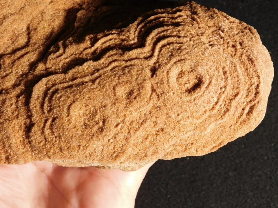 ¡GRANDE! Fósil ESTROMATOLITO de 600 millones de años 100% natural Marruecos 1383gr Foto 3 de 4