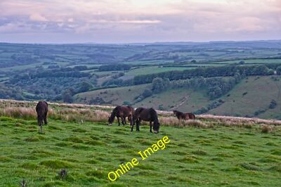 Foto 12x8 West Somerset: Exmoor - Moorlandschaft Codensend Blick über 2014