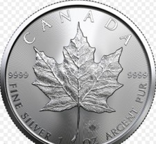 Royal Canadian Maple Leaf Fine Silver .999 1oz Coin 2020 98.49 per troy oz