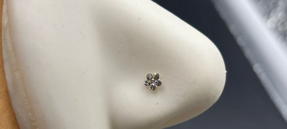 Set da 20 Pz. Orecchini da  naso Argento Sterling 925 Nickel Free 4 Modelli - Immagine 2 di 4