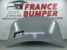 Capot Renault Alpine A290 (09/2024) – Neuf d’origine à peindre