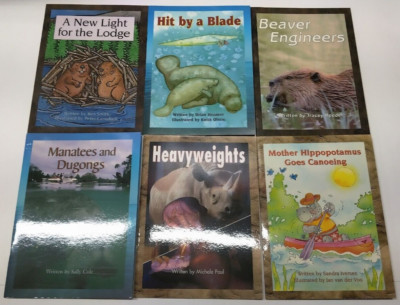Take 2 Books - Levels L, M, N - Wright Group McGraw Hill - lot of 12
